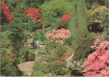 Load image into Gallery viewer, Sussex Postcard - Leonardslee Gardens, Horsham SW12244
