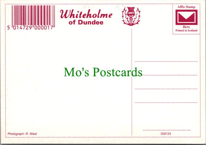 Scotland Postcard - Forth Rail Bridge, Edinburgh  SW12251