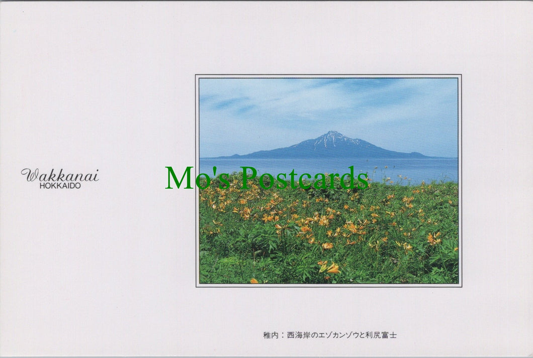 Japan Postcard - Wakkanai, Hokkaido  SW12277
