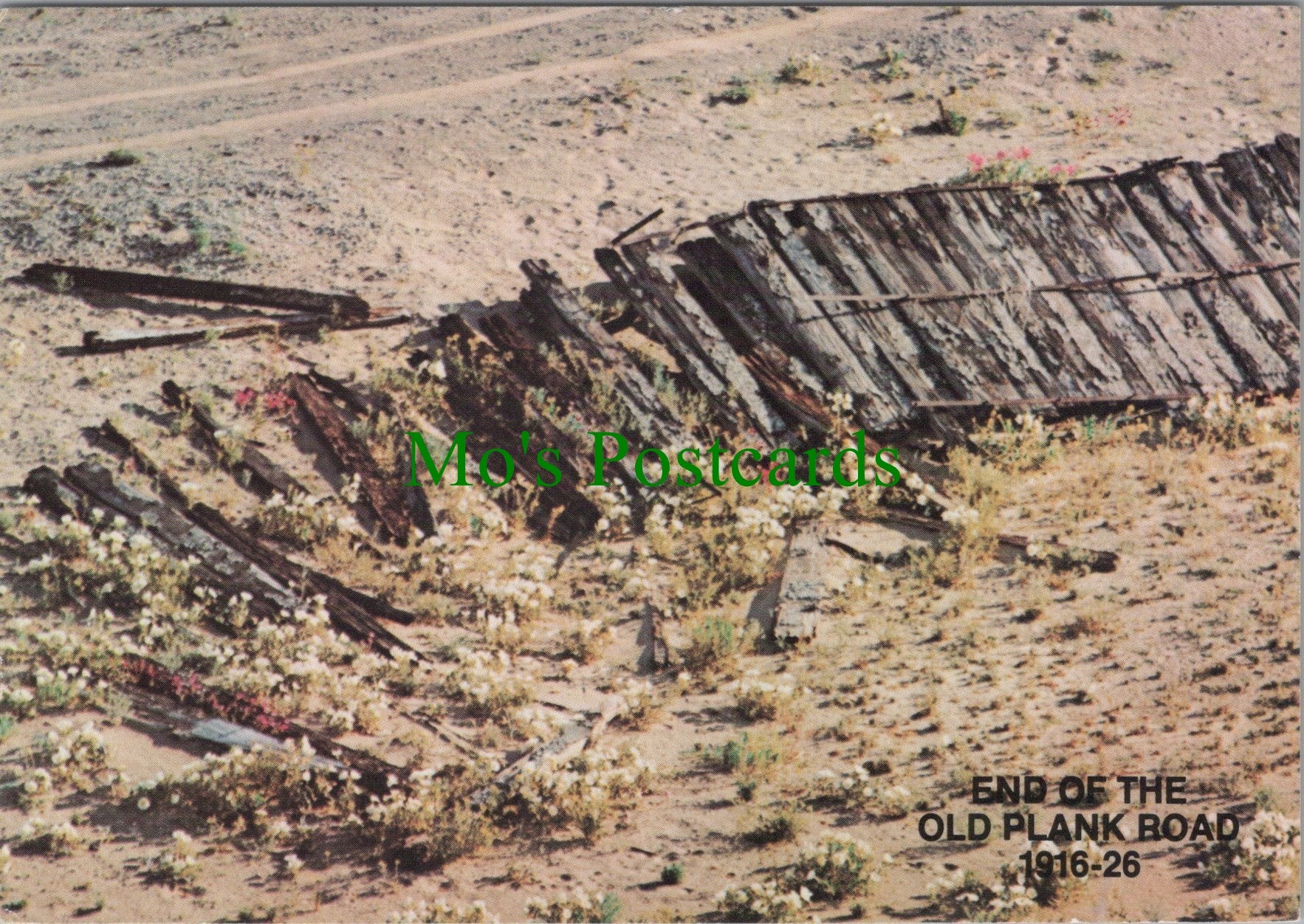 America Postcard - Arizona, End of The Old Plank Road SW12149