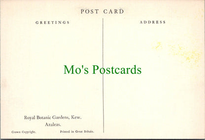 London Postcard - Royal Botanic Gardens, Kew SW12225