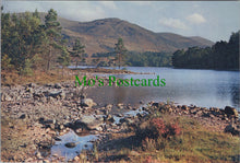 Load image into Gallery viewer, Scotland Postcard - Loch-An-Eilean, Aviemore, Inverness-shire SW12228
