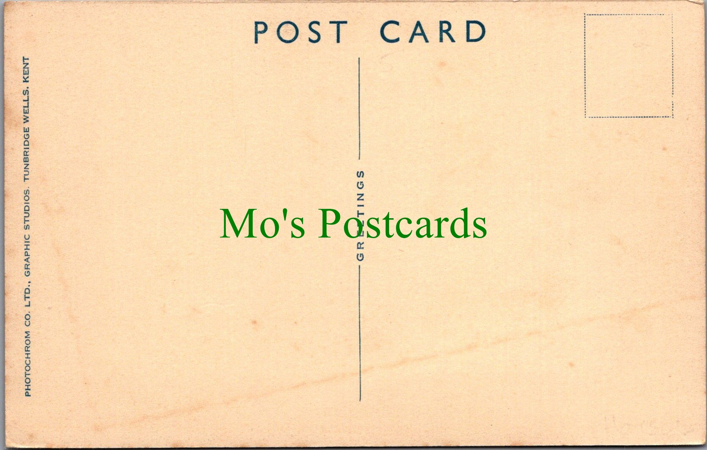 Hampshire Postcard - New Forest Ponies  SW12749