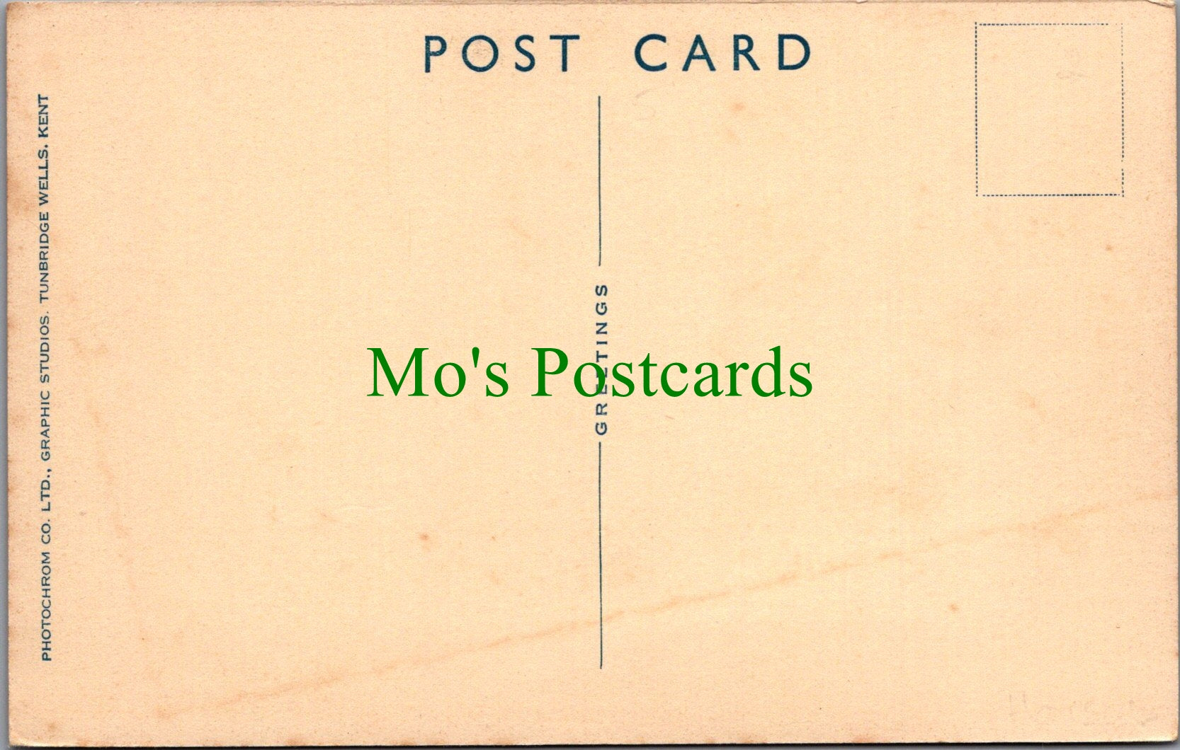 Hampshire Postcard - New Forest Ponies  SW12749