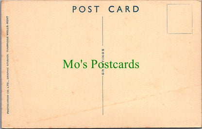 Hampshire Postcard - New Forest Ponies  SW12749