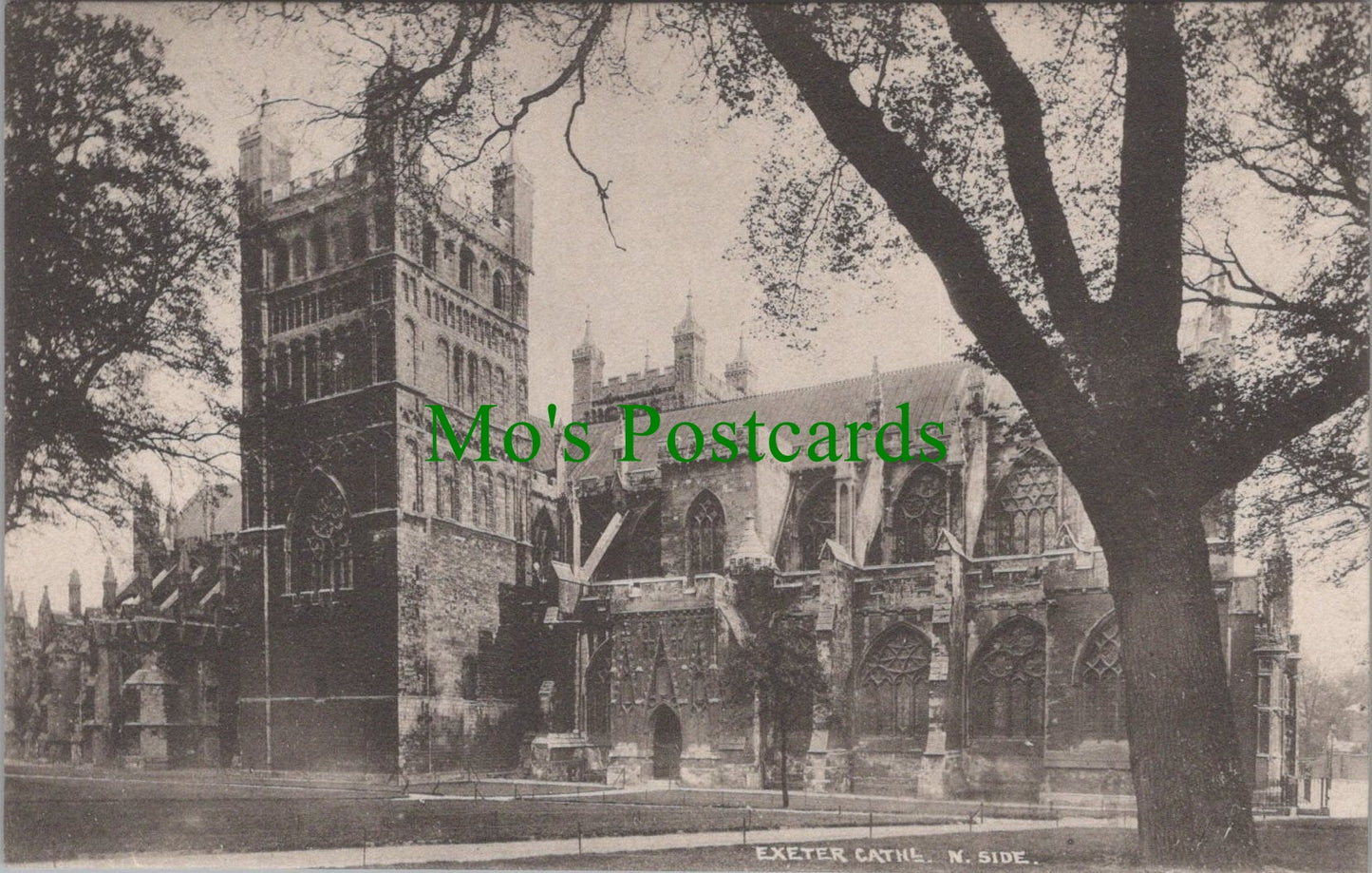Devon Postcard - Exeter Cathedral, North Side  SW12779