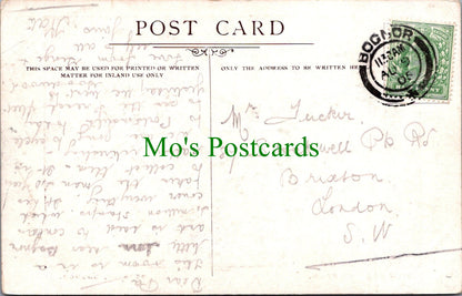 Sussex Postcard - View of The Stamp Room, Bersted, Bognor  SW12926