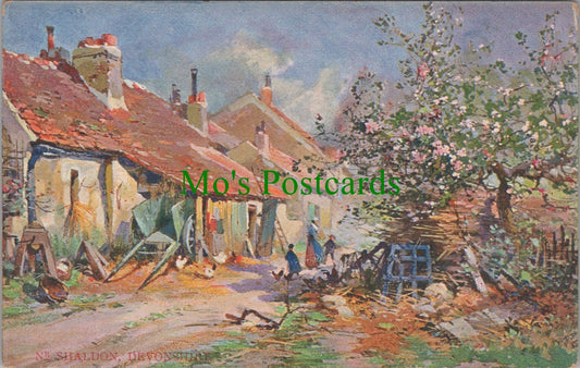 Devon Postcard - Nr Shaldon Village SW12947