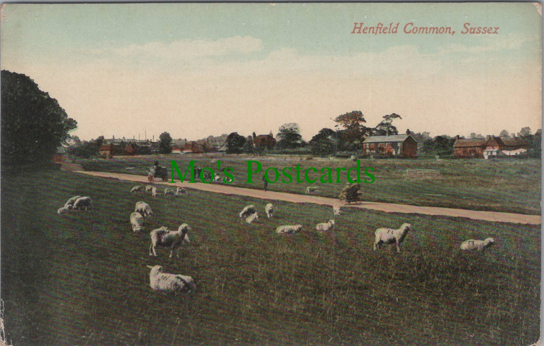 Sussex Postcard - Henfield Common   SW12982