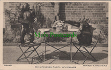 Load image into Gallery viewer, Animals Postcard - Chimpanzees Party, Whipsnade SW12985
