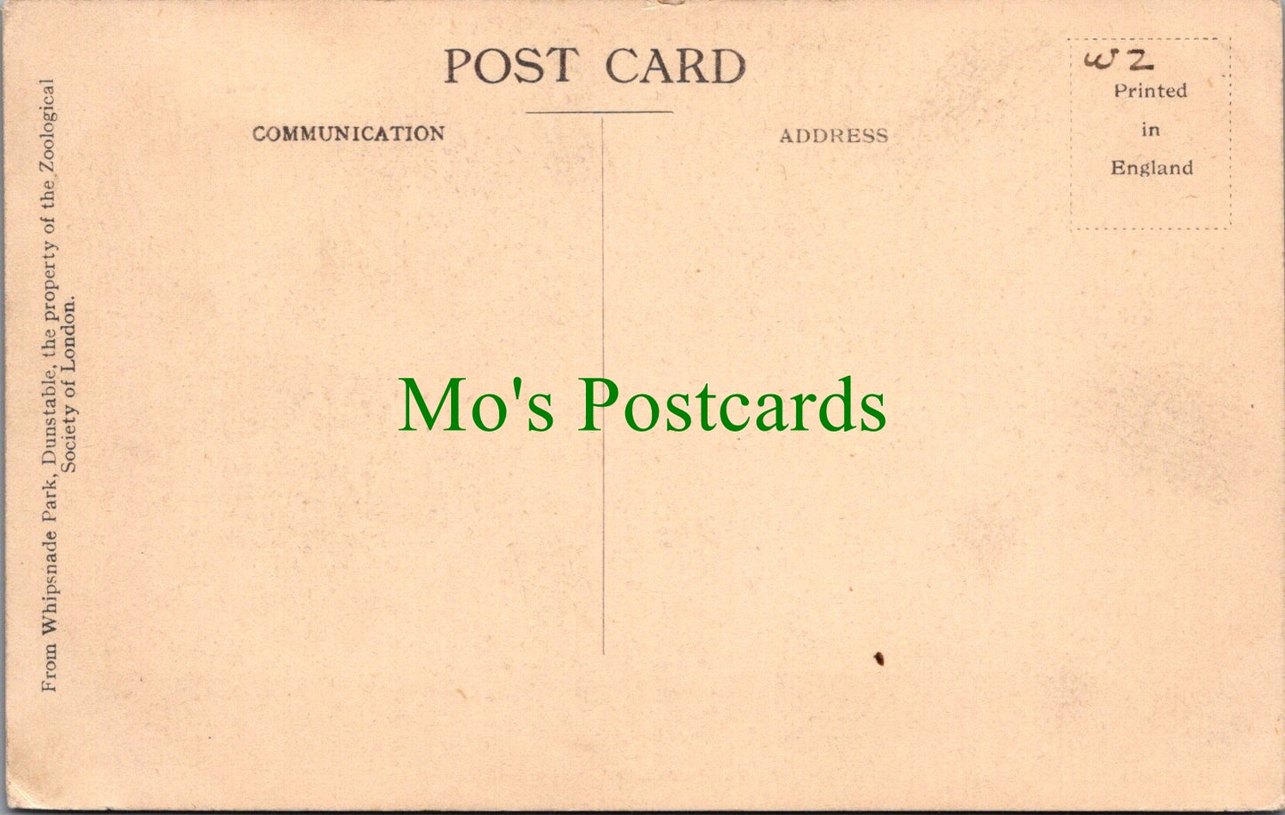 Animals Postcard - Chimpanzees Party, Whipsnade SW12985