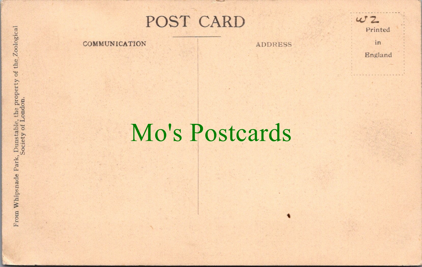 Animals Postcard - Chimpanzees Party, Whipsnade SW12985