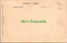 Load image into Gallery viewer, Animals Postcard - Chimpanzees Party, Whipsnade SW12985
