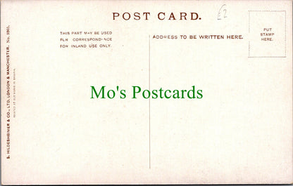 Food & Drink Postcard - Plate of Mixed Grapes  SW13367