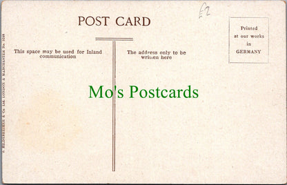Somerset Postcard - Picturesque Bossington  SW13374
