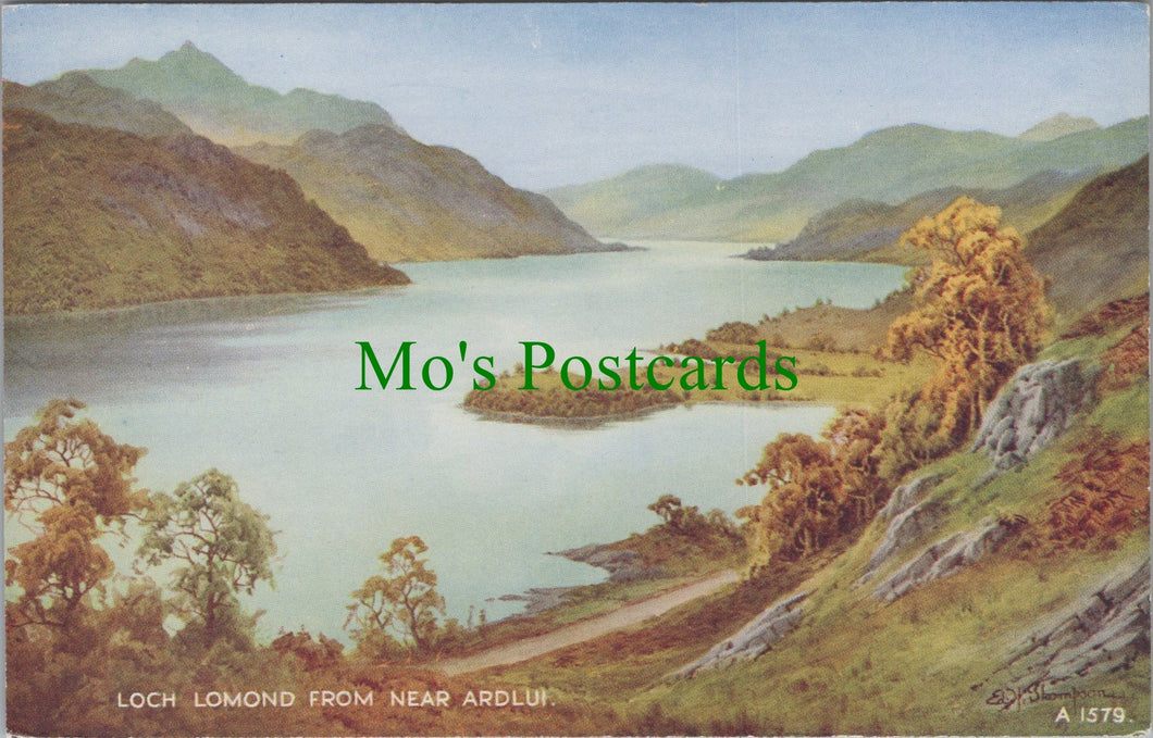 Scotland Postcard - Loch Lomond From Near Ardlui  SW14069