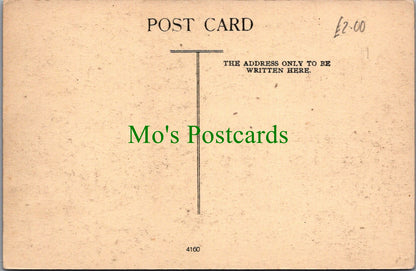 Derbyshire Postcard - Crich, "The Briars" Garden  SW14080