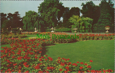 London Postcard - The Lake, Kew Gardens  SW12576