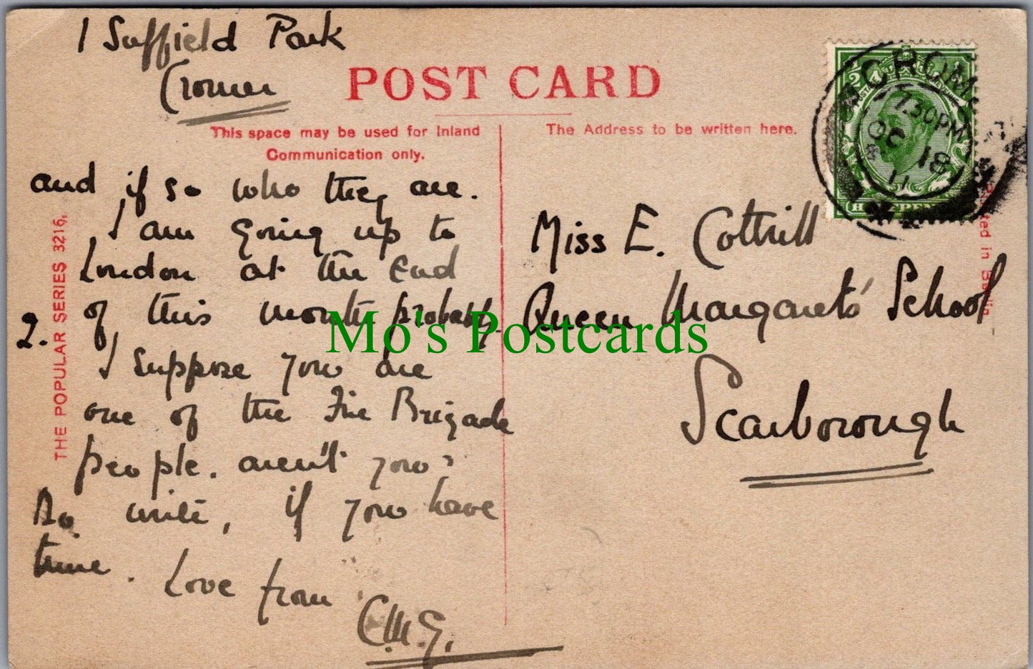 Animals Postcard - Beautiful Horse   SW12609