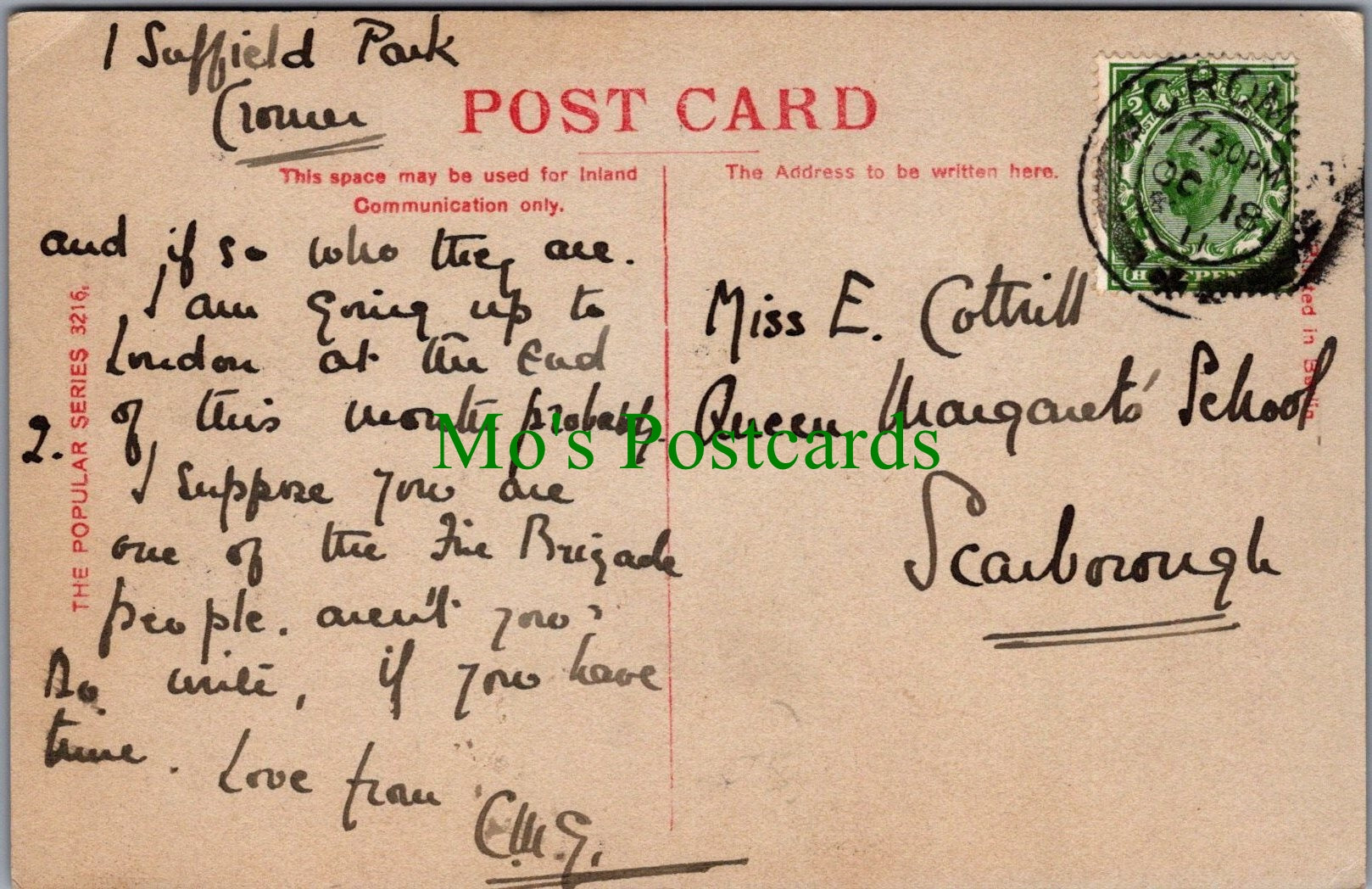Animals Postcard - Beautiful Horse   SW12609