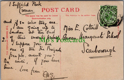 Animals Postcard - Beautiful Horse   SW12609