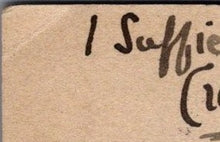 Load image into Gallery viewer, Animals Postcard - Beautiful Horse   SW12609
