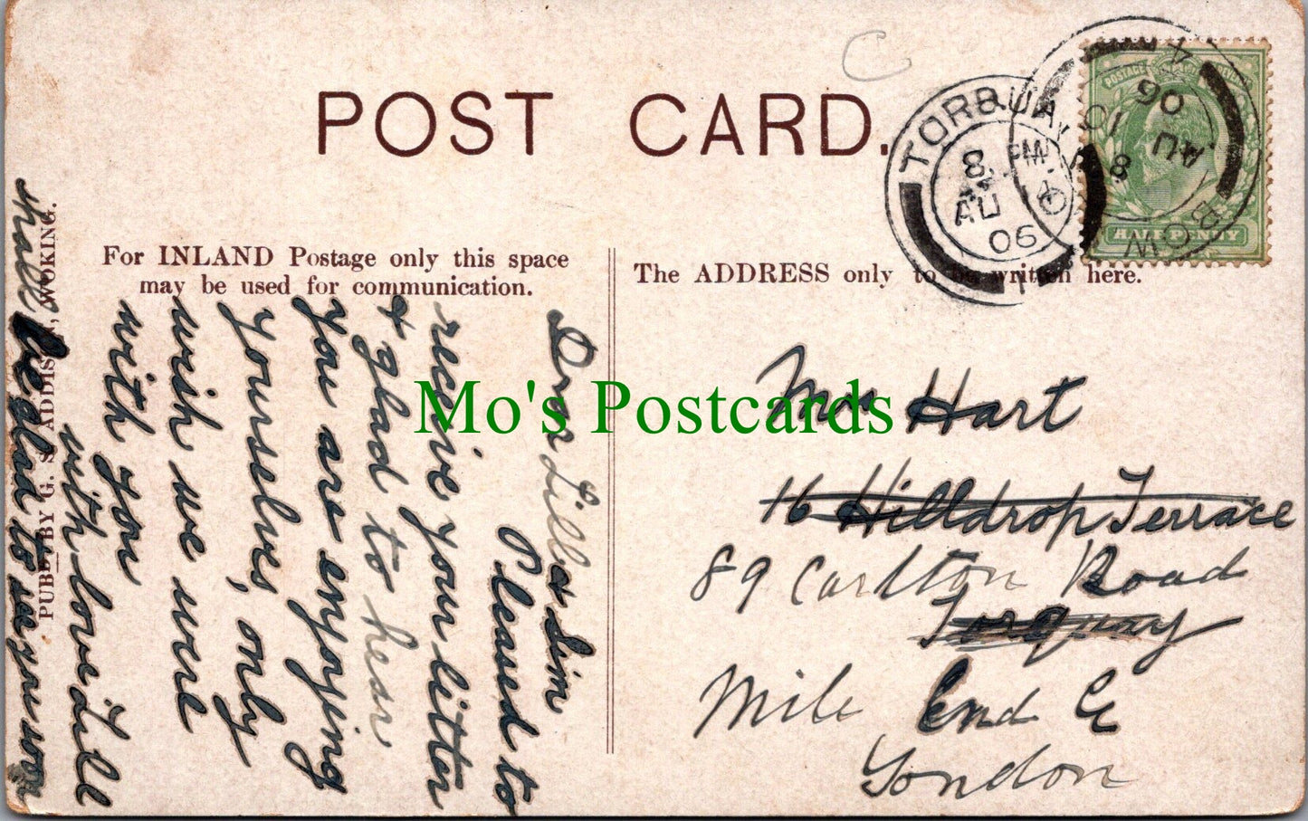 Surrey Postcard - Woking Oriental Institute  SW12652