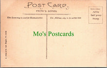 Load image into Gallery viewer, Surrey Postcard - Guildford Castle Grounds, Fish Pond  SW12551
