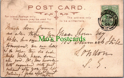 Sussex Postcard - Beeding Towers, Near Bramber  SW13289