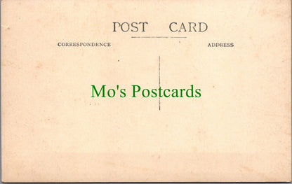 Sussex Postcard - Chanctonbury Ring   SW13292