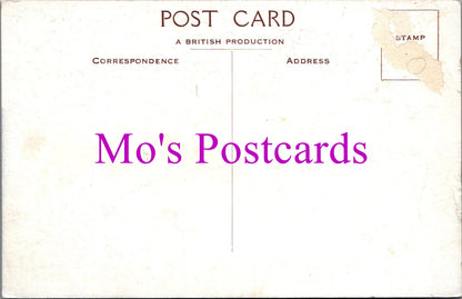 Derbyshire Postcard - Maynard Arms Hotel, Grindleford Bridge SW14497