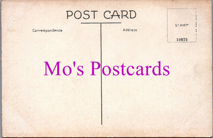 Sussex Postcard - Hellingly Village    SW14498