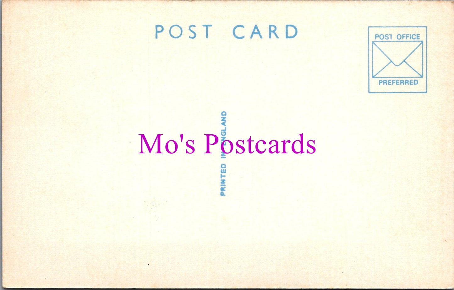 Yorkshire Postcard - Greetings From Thornton-Le-Dale  SW15364