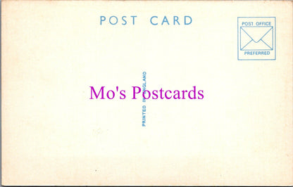 Yorkshire Postcard - Greetings From Thornton-Le-Dale  SW15364