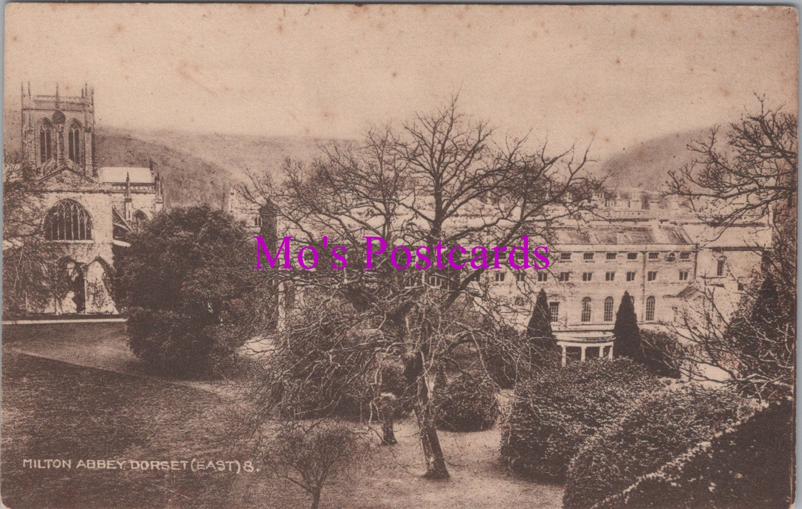 Dorset Postcard - Milton Abbey   SW15057