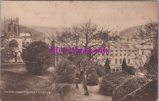 Dorset Postcard - Milton Abbey   SW15057