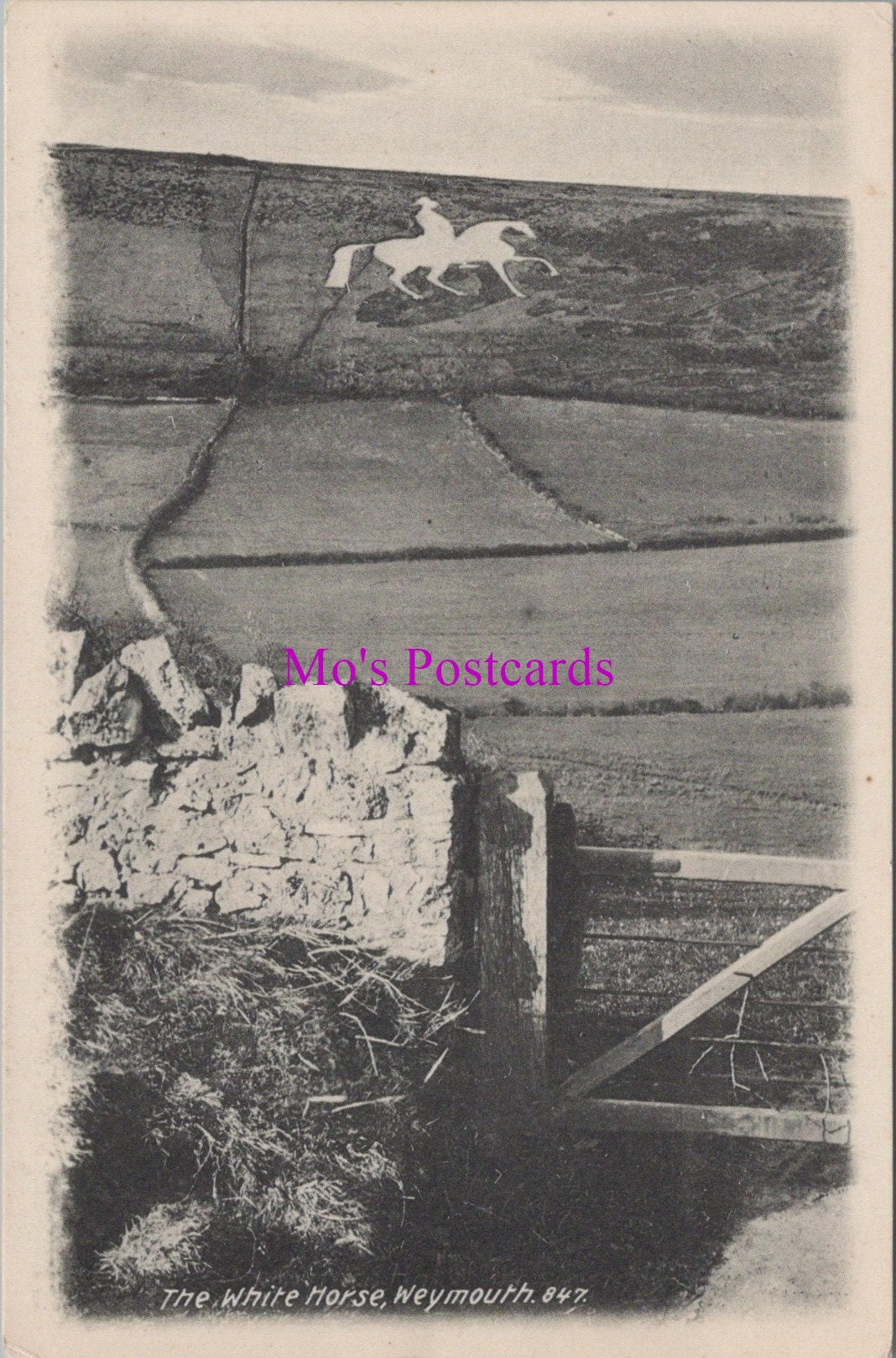 Dorset Postcard - The White Horse, Weymouth   SW15061