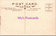 Load image into Gallery viewer, Surrey Postcard - Sterborough Castle Lingfield   SW15074
