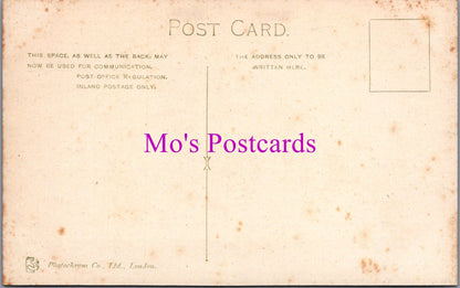 Surrey Postcard - Dorking, Burford Bridge Hotel   SW15075