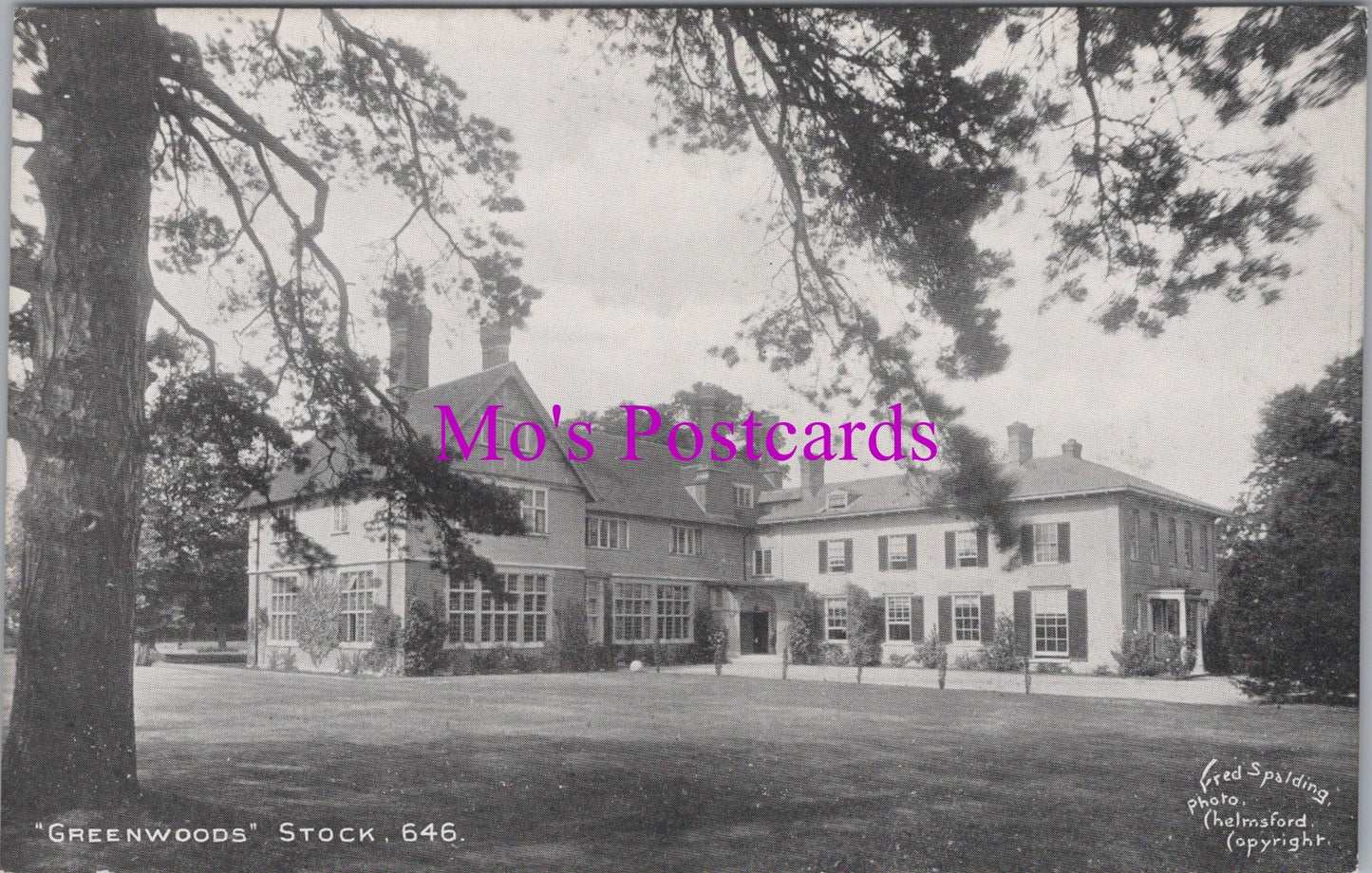 Essex Postcard - "Greenwoods", Stock  SW15096