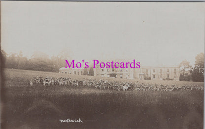 Gloucestershire Postcard - Northwick Park Deer, Blockley SW15100 