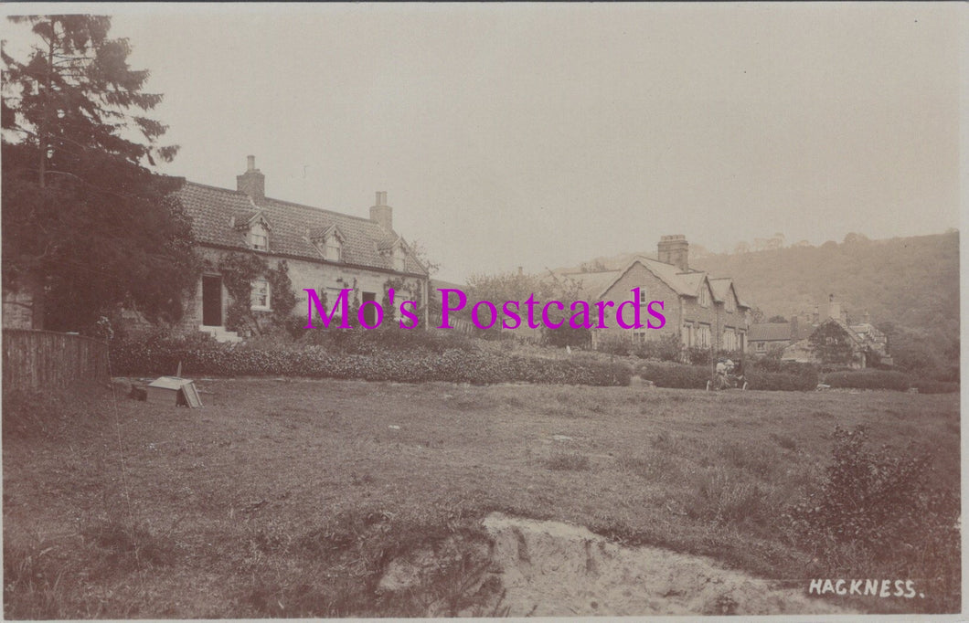 Yorkshire Postcard - Hackness Village   HM613