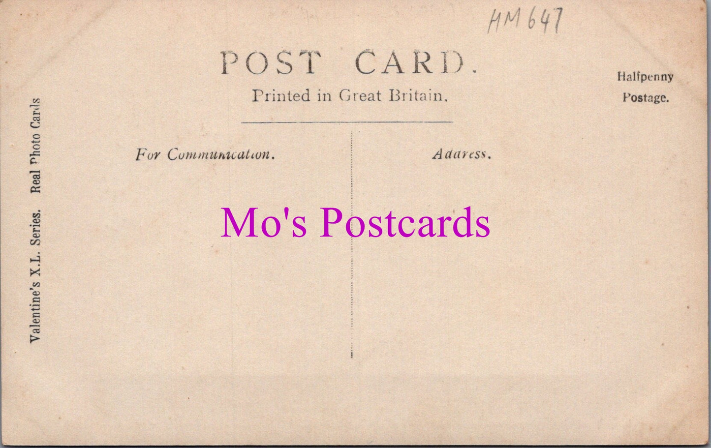 Surrey Postcard - The Bridge, Weybridge   HM647