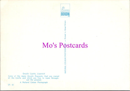 Animals Postcard - Birds, Gwydir Peacocks, Gwydir Castle  SW16181