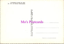 Load image into Gallery viewer, France Postcard - Cathedrale Russe De Nice   SW16201
