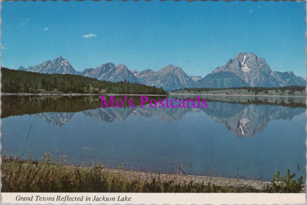 America Postcard - Wyoming, Grand Tetons Reflected in Jackson Lake  SW16287