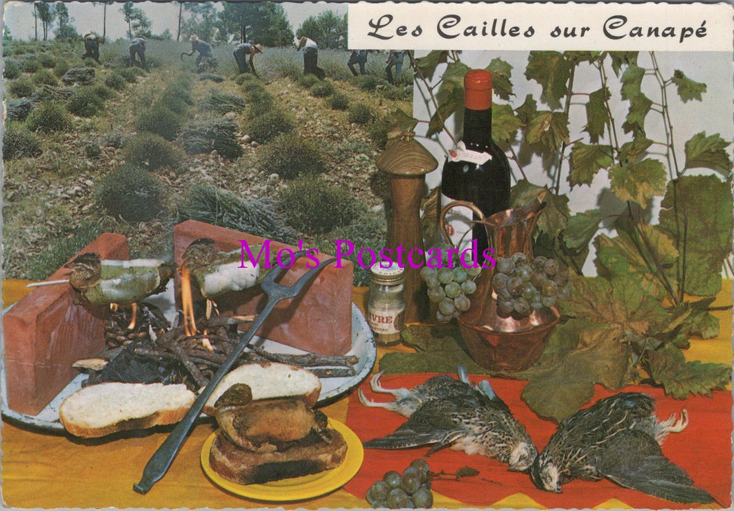 Food Postcard - Recipe, Cailles Sur Canape   SW15208