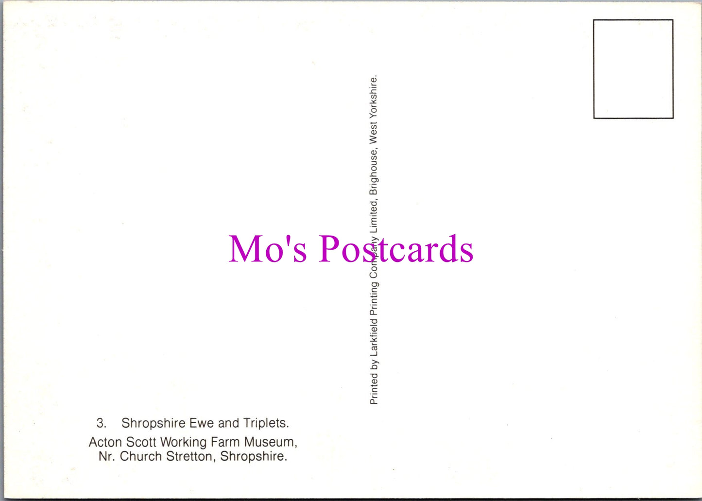 Animals Postcard - Shropshire Ewe and Triplets   SW15212