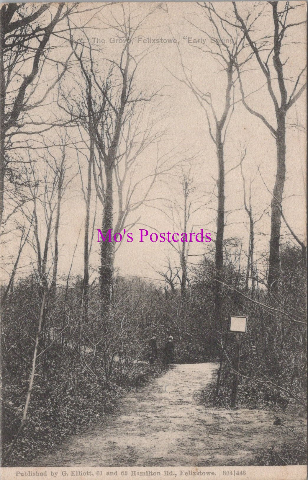 Suffolk Postcard - The Grove, Felixstowe    SW17569