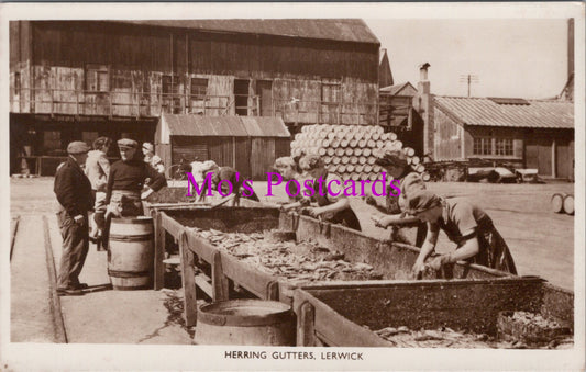 Scotland Postcard - Herring Gutters, Lerwick, Shetland Islands  BH2137